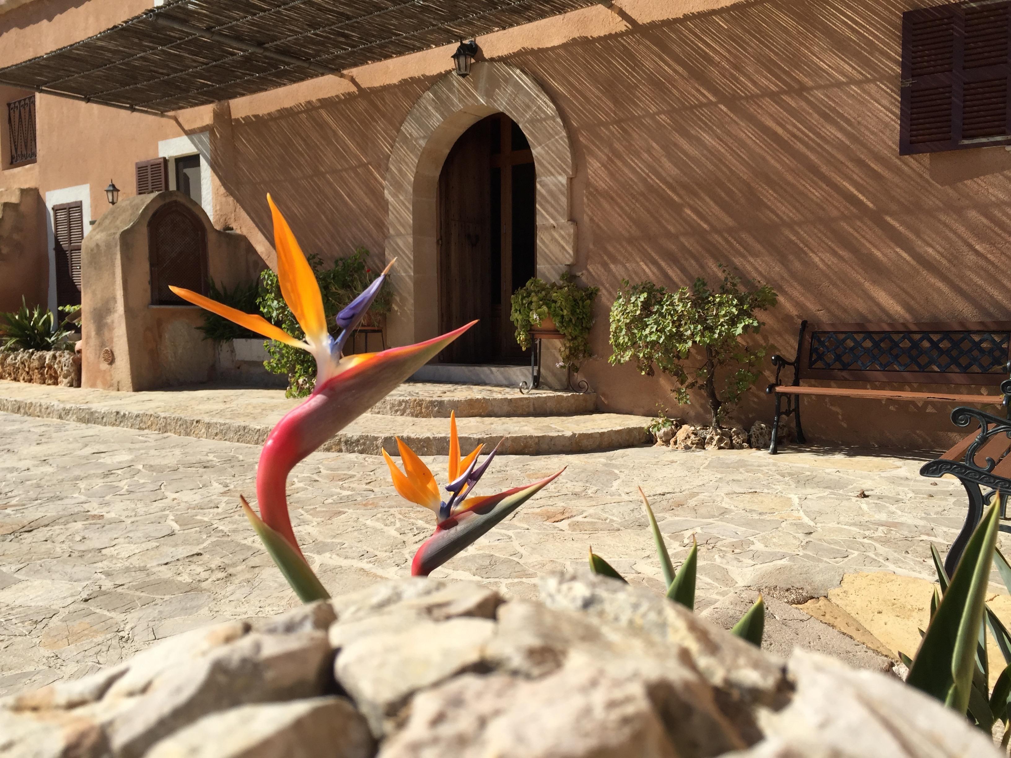Agroturisme Es Picot Son Macia  Exterior foto