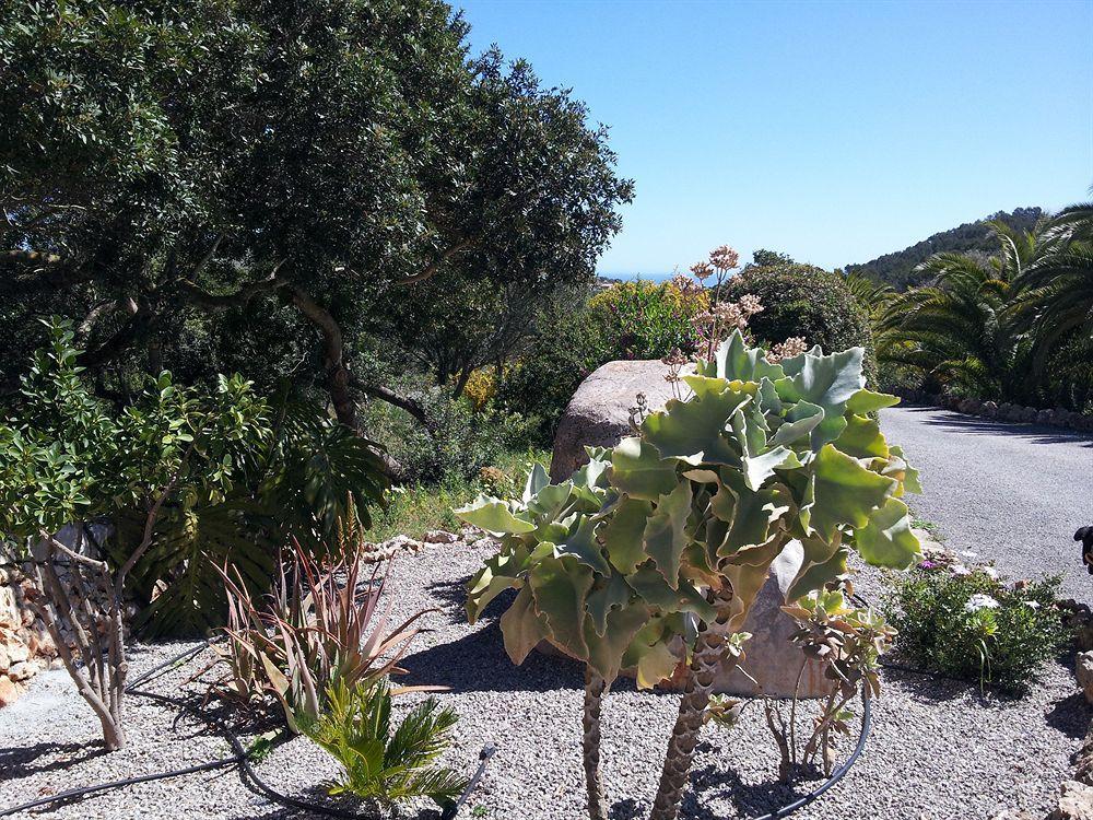 Agroturisme Es Picot Son Macia  Exterior foto