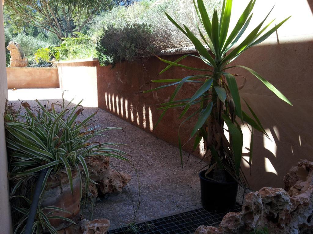 Agroturisme Es Picot Son Macia  Zimmer foto